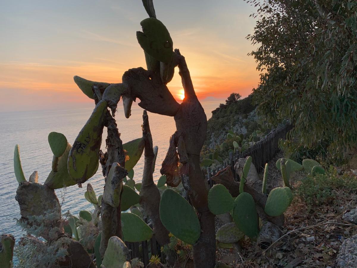 Villa Maria Teresa Capo Vaticano Kültér fotó